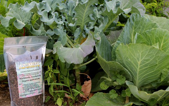 Organic gardening fertilizer vegan guide